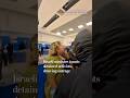 Israeli minister taunts detained activists, drawing outrage