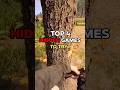 Top 4 Hidden Games To Play Right Now 😱