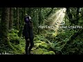 deep forest echoes 🌿 cinematic walker style beats for gaming & study ✨ feel the wave