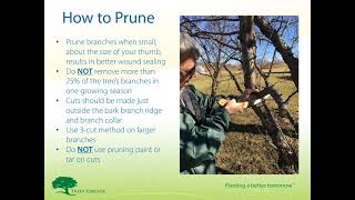 Pruning Your Trees & Shrubs Webinar