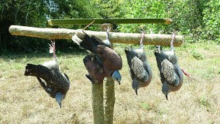 The Best Bird Traps Near The Mountain - Easy Quick Dove Traps Technique