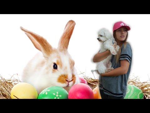 Videó: Hogyan Varrjunk Húsvéti Nyuszit