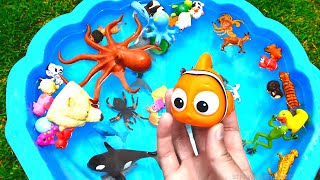 NEW Shark Octopus Walrus Dog Frog Toy Figures Unboxing! by Strawberry Jam Toys 11,724,148 views 3 years ago 8 minutes, 32 seconds