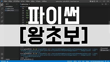 파이썬 [왕초보] VSCode 강의 기초부터 실습 위주의 교육