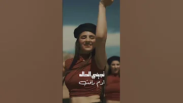 ادم رافت تجيني الحالة Fyp Foryoupage Tiktokchallenge Duet Trending Comedy Savagechallenge S Memes 