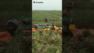 Download Lagu 16 Maret 2022 MP3