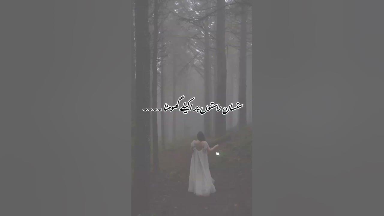 guessthenoval?#youtubeshorts #noval #dreamworld