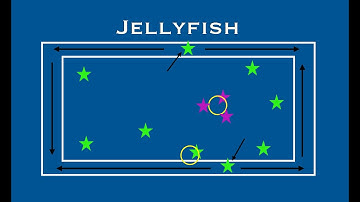Jellyfish game - Primary Physical Education