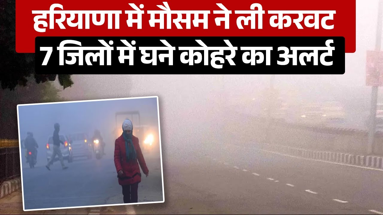 हरियाणा में मौसम ने ली करवट, 7 जिलों में घने कोहरे का अलर्ट