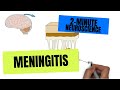 2-Minute Neuroscience: Meningitis
