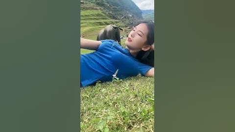 cẩm vân cô gái sứ lạng