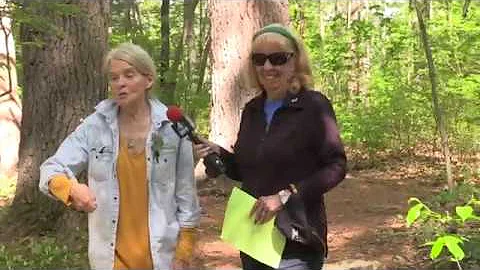 Wild Flower Walk at Dunlap Sanctuary 5-25-19