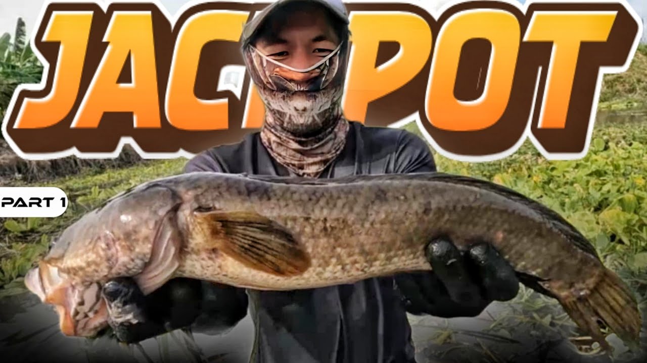 P1 - Jackpot sa Panlalambat - EP1962