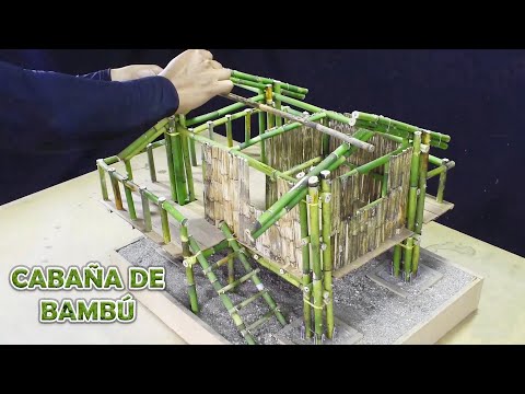 Vídeo: Com tallar bambú a casa?