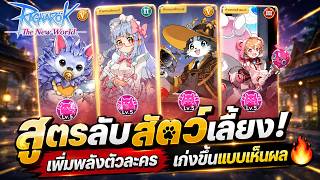 Ragnarok The New World | Pet Secret Guide! Boost Your Character's Power and Get Stronger Fast 🔥 screenshot 4