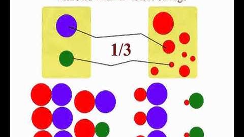 Charles Yang, "The Ontogeny and Philogeny of Recursion" , Nias/Lorentz Workshop on Core Knowledge
