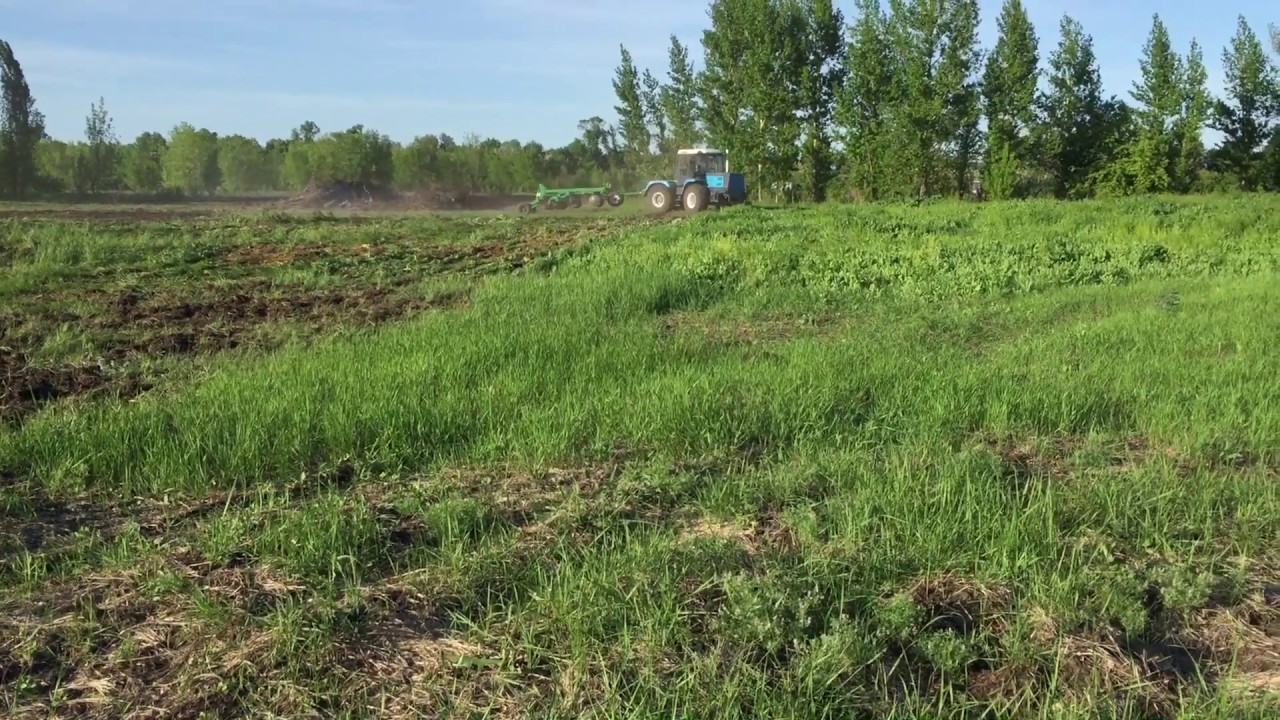 Разработка целины трактором ХТЗ - YouTube