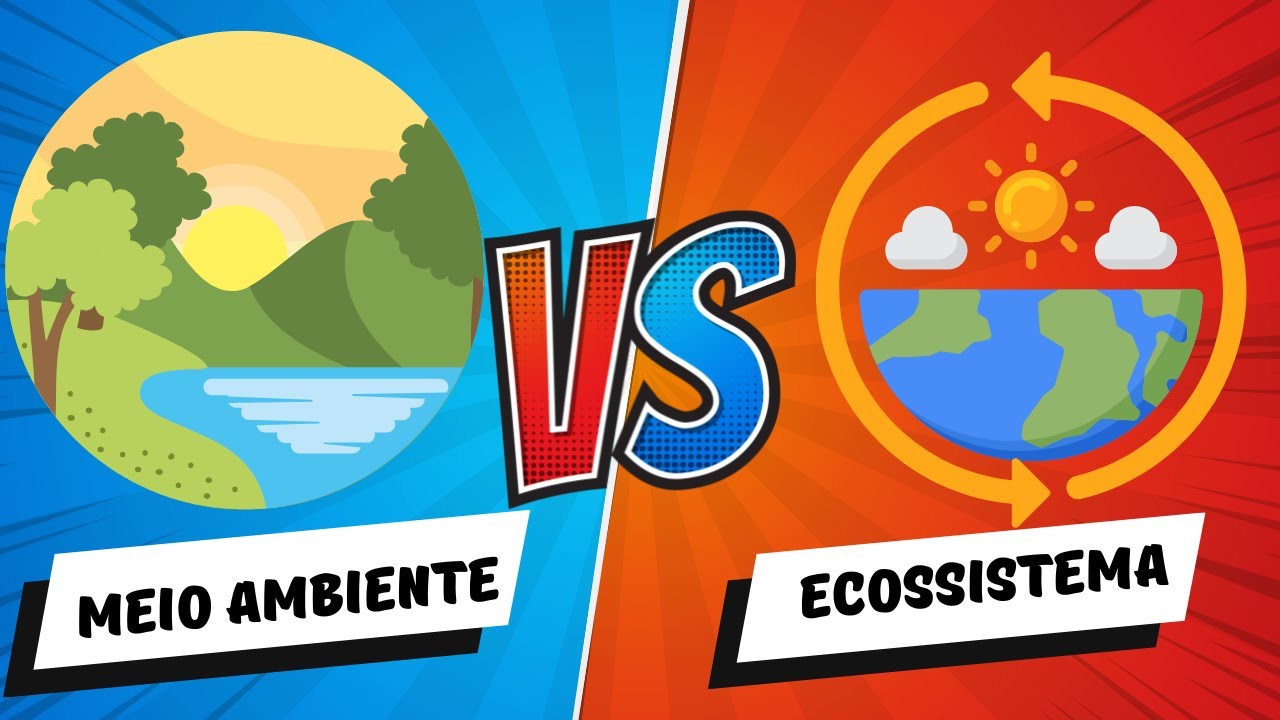 MEIO AMBIENTE vs. ECOSSISTEMA: Compreenda as Diferenças Essenciais ...