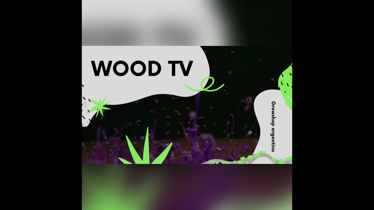 Seguimiento indoor Lemon ram fotoperiodica parte 1