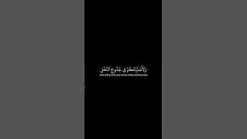 أذكر الله | سورة طه الأية[71-72] القارئ ياسر الدوسري #quran #اكسبلور