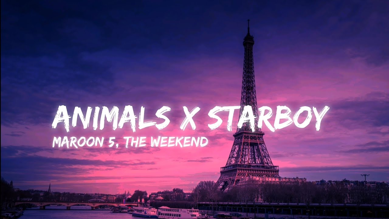 Animals X Starboy | Maroon 5 & The Weekend | [ Sped Up ] | (Lyrics ...