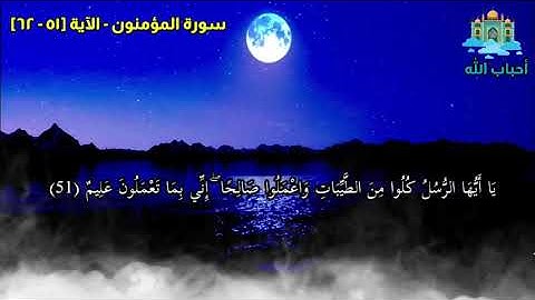 سورة المؤمنون - الآية [٥١ - ٦٢]