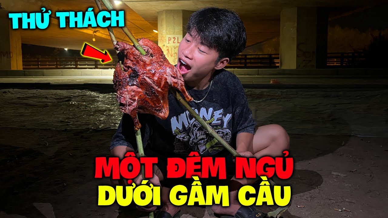 Quang Con Thử Thách "Ngủ Gầm Cầu 1 Đêm" Nướng Vịt Và Cái Kết !!! - YouTube