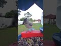 #everythingnature #birdfeedercamera #birds #backyardwildlife #tuftedtitmouse