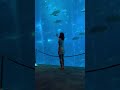S.E.A Aquarium Singapore #singapore #sentosa #seaaquarium #aquarium