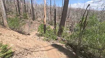 Sheetiron 300 2025 Hard trail