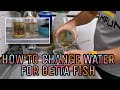 Ultimate Guide to Betta Fish Water Change: Tips for Optimal Fish Care