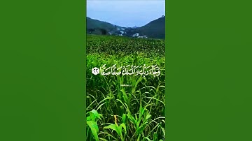 تلاوة خاشعة بصوت جميل يريح قلبك #تلاوة #elmulquranعلم #اكسبلور #المصحف #قران_كريم #trend #duet