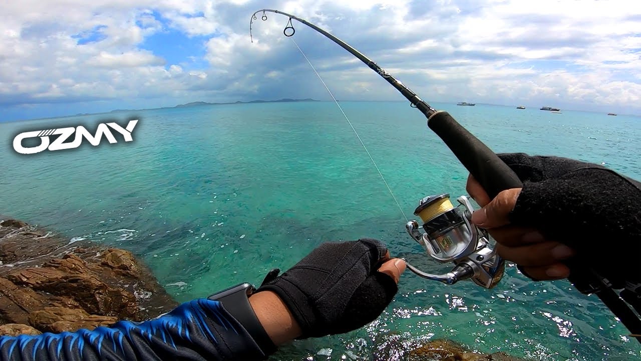 KERAPU TEBING : MEMANCING DI PULAU TINGGI