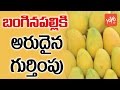 Banaganapalli mangoes of AP get GI tag