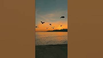 الذي خلقني فهو يهدين 🤍ماهر المعيقلي سورة الشعراء
