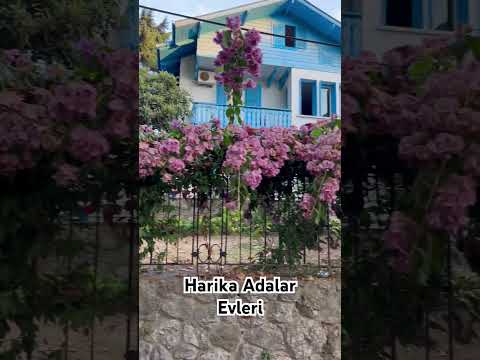 Adalar turu.#keşfet #keşfetteyiz