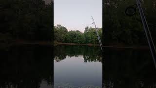 Sat July 25th blue pack and crawl just landed my 2nd bass for the evening tight lines 
