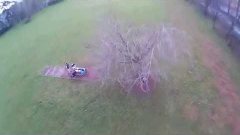 Tree Weaving | Crash-it FPV