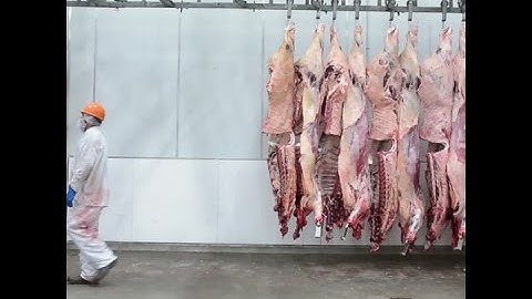 Avoid these 7 foods to save the planet