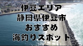 静岡県『伊豆市』のおすすめ海釣りスポット5選