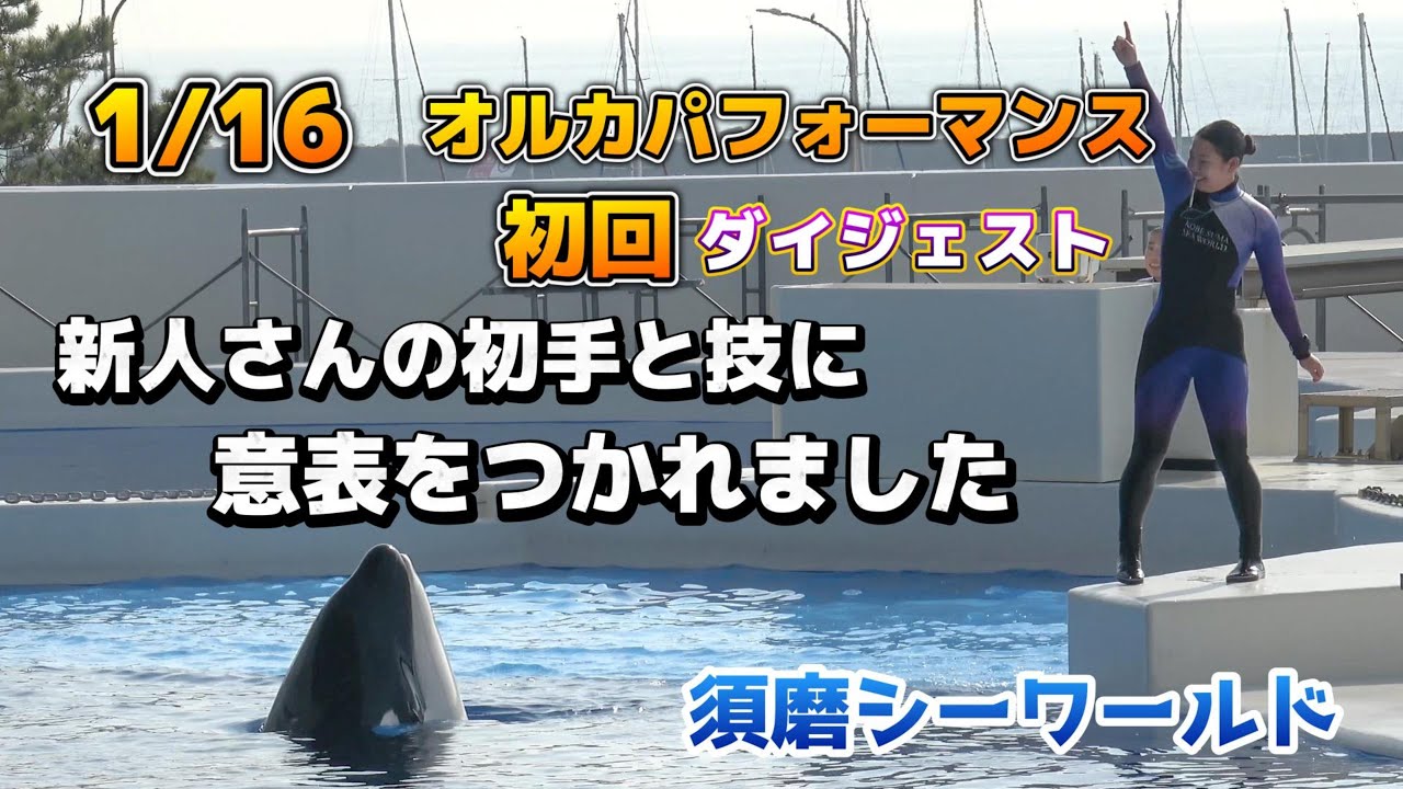 シャチおら シャチ】1月16日！最初から意表をつかれたオルカパフォーマンス初回