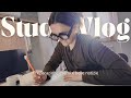 Study (mini) Vlog - preparazione esami e belle notizie