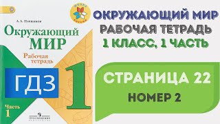 Окружающий мир. Рабочая тетрадь 1 класс 1 часть. ГДЗ стр. 22 №2