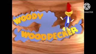 woody woodpecker pica pau 3D