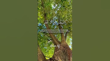 تلاوة خاشعة..للقارئ المنشاوي.. #قران_كريم #quran #اكسبلور #المنشاوي #berlin