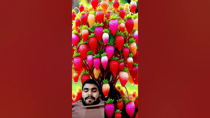 easy and fast techniques for propagating and growing strawberry trees #garden #fruit