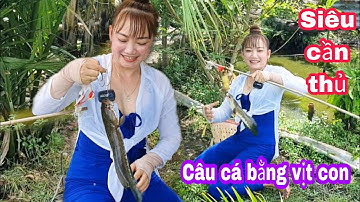 Câu Cá Lóc Bằng Vị.t Cú Táp Thần Thánh Của Kẻ Săn Mồi