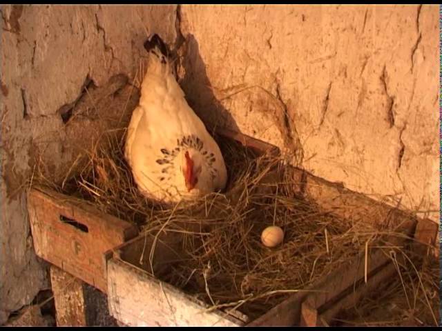 Пост сдал — пост принял.