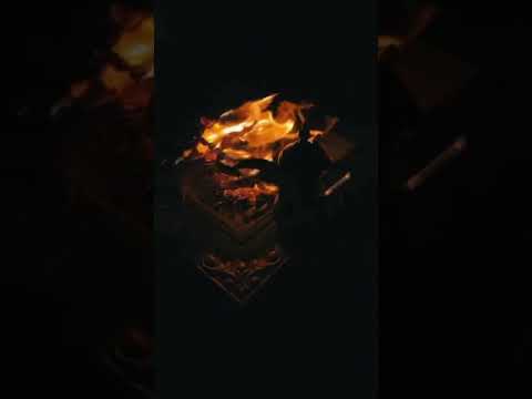 قصيد العقرب الي تنثر السم وتروح