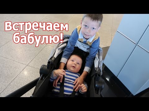 VLOG: Подарок на др деду / Вернулась б.Лиза